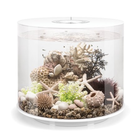 biOrb Tube 35 Aquarium with Standard Light  9.2 Gallon  White