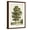 Brown Frame, variant on Art.com A Sweet Chestnut Tree Stretched Canvas Print Wall Art, 16" x 24"