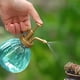 thumbnail image 5 of Pumpkin Plastic Spray Bottle Gardening Supplies Colorful Small Spray Bottle, 5 of 5