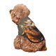 thumbnail image 5 of Balery Jungle Meditating Lion Sudadera con Capucha para Perros Pequeños – Ropa para Mascotas, Disfraz para Perros y Gatos, Ideal para Fiestas y Cosplay-Medium, 5 of 7