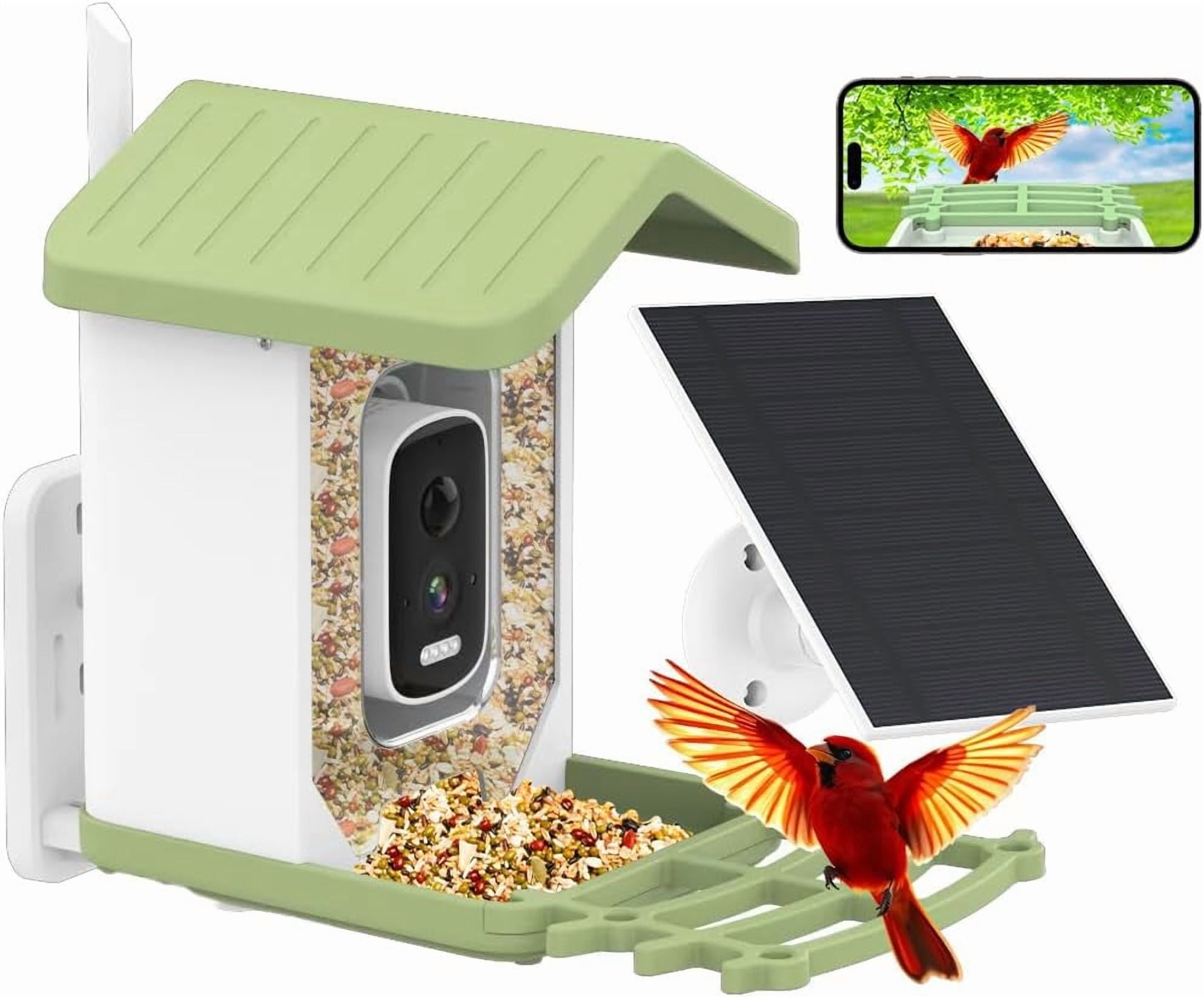 Bird Buddy Solar Powered Bird Feeder with Camera & AI Species