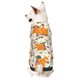 thumbnail image 1 of Balery Squirrel With Colorful Tail Sudadera con Capucha para Perros Pequeños – Ropa para Mascotas, Disfraz para Perros y Gatos, Ideal para Fiestas y Cosplay-Large, 1 of 7