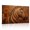 D, variant on XaaKee Zebra Animal Portrait Striped Heritage Canvas Wall Art Prints Inner Framed 18*12Inch