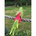 thumbnail image 3 of Zoowhale Parrot Diaper Bird Flight Suit, Bird Clothes, Waterproof Lining Pet Bird Supplies (S, Red), 3 of 6