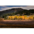 thumbnail image 2 of Jones, Adam 32x23 Black Ornate Wood Framed with Double Matting Museum Art Print Titled - Autumn view of willows and aspen groves-Grand Teton National Park-Wyoming, 2 of 4