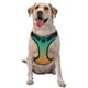 thumbnail image 1 of Balery Orange To Teal Gradient1 Arnés para Perros Grandes Antitirones, Arnés con Correa para Gato, Arnés Tipo Chaleco para Perros Pequeños-Medium, 1 of 6