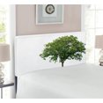 thumbnail image 2 of Tree Headboard, Bench Under Majestic Tree Looks Like Solitude in Habitat Environment Design, Upholstered Decorative Metal Bed Headboard with Memory Foam, Twin Size, Green White, by Ambesonne, 2 of 4