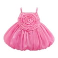 thumbnail image 2 of Delliss Tutu Dress for Girls Sparkly Tulle Princess Dress 6M-3Y Summer Dress Flower Girls Party Dance Dress, 2 of 9