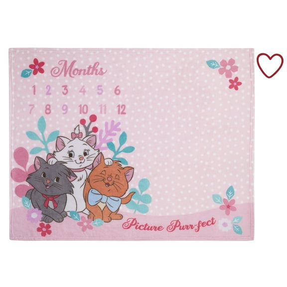Disney Aristocats Photo Op Milestone Baby Blanket