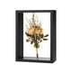 thumbnail image 1 of Marco de Flores Secas Uxcell, Marco de Sombra de Madera de 5 x 7 Pulgadas, Marco de Imagen de Acrílico Doble [Negro], 1 of 1