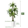 thumbnail image 7 of 6ft Artificial Dracaena Tree, Fake Tree Indoor with White Tall Planter, Artificial Silk Plants for Home Office Decor, 7 of 7