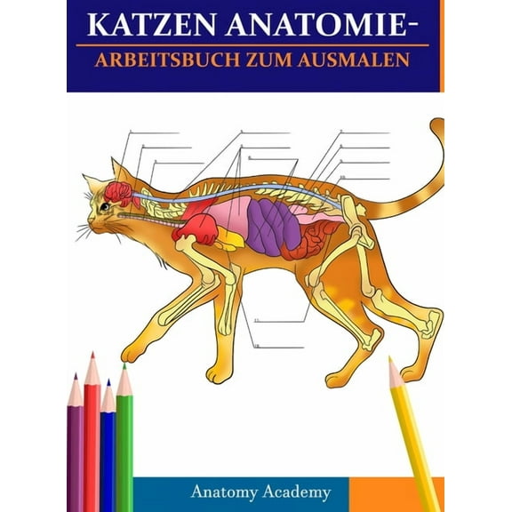 Katzen AnatomieArbeitsbuch zum Ausmalen: Unglaublich detaillierter Selbsttest Katzen Anatomie-Arbeitsbuch zum Ausmalen P, (Hardcover)