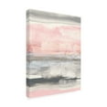 thumbnail image 2 of Chris Paschke 'Charcoal And Blush II Crop' Canvas Art, 2 of 3