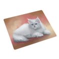thumbnail image 1 of Persian Cat Blanket BLNKT48189, 1 of 3
