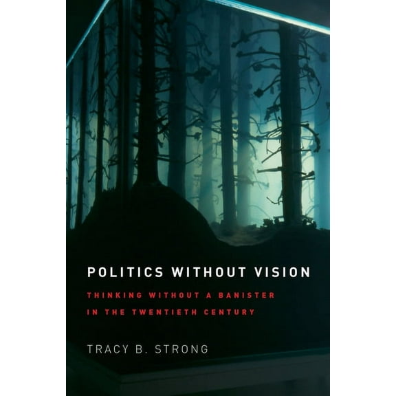 Politics without Vision : Thinking without a Banister in the Twentieth Century (Paperback)