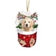 thumbnail image 1 of Adornos Navideños Divertidos para Perros - Regalos para Amantes de Los Perros - Adornos Navideños - Medias Navideñas para Perros, 1 of 1