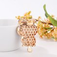 thumbnail image 4 of Queilt 1 Ornaments Beautiful Owl Rhinestone Key Chain Crystal Purse Keychain Bag Key（pink）, 4 of 5