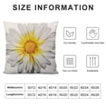 thumbnail image 5 of COMIO  Daisy Throw Pillow Covers White Petal Floral Plant Nature Bloom Botany Decorative Square Pillow Case Pillowcase Home Decor for for Sofa Bedroom Livingroom, 5 of 5