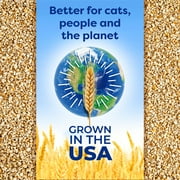 sWheat Scoop Multi-Cat Natural Clumping Wheat Cat Litter, 15lb