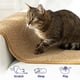 thumbnail image 5 of Alfombra de escalada de pared para gatos  Escalador de pared para gatos de 67 x 17.5 pulgadas con clavos fijos, alfombra rascador de pared para gatos de interior, alfombra de pared para escalada |, 5 of 9