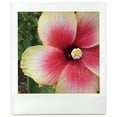thumbnail image 4 of FUJIFILM - instax SQUARE Film 2pk (20 Sheets) - White Frame, 4 of 4