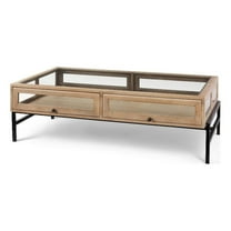 Arelius Rectangular Light Brown Wood Black Metal Base Display Coffee Table