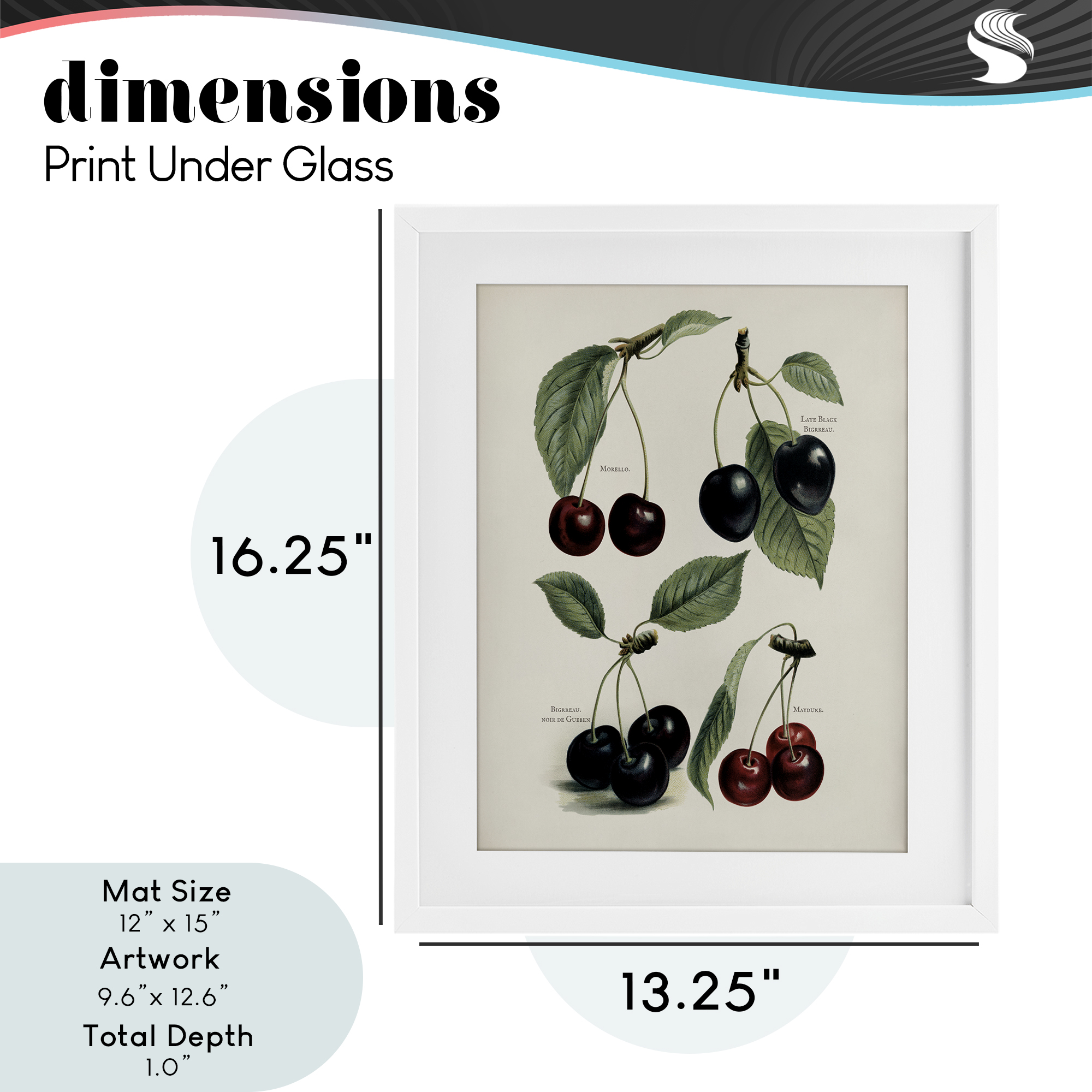 Natural Detailed Cherry Studies White Framed Print Under Glass, design by Lettered and Lined