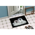 thumbnail image 4 of Carolines Treasures PPP3263JMAT Maltese Sweethearts Door Mat Indoor Rug or Outdoor Welcome Mat 24x36 Doormat  24H X 36W, 4 of 4