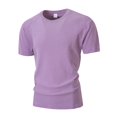 thumbnail image 2 of LTTVQM Workout Shirts for Men 2026 Quick Dry Athletic Gym Tee Shirts Mens Short Sleeve Running Cooling Swimming T-Shirt Light Purple L, 2 of 5
