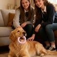 thumbnail image 3 of Pet Toys, Dog Toys, Hedgehog Chew Rings, Teething Chew Sticks, 3 of 6