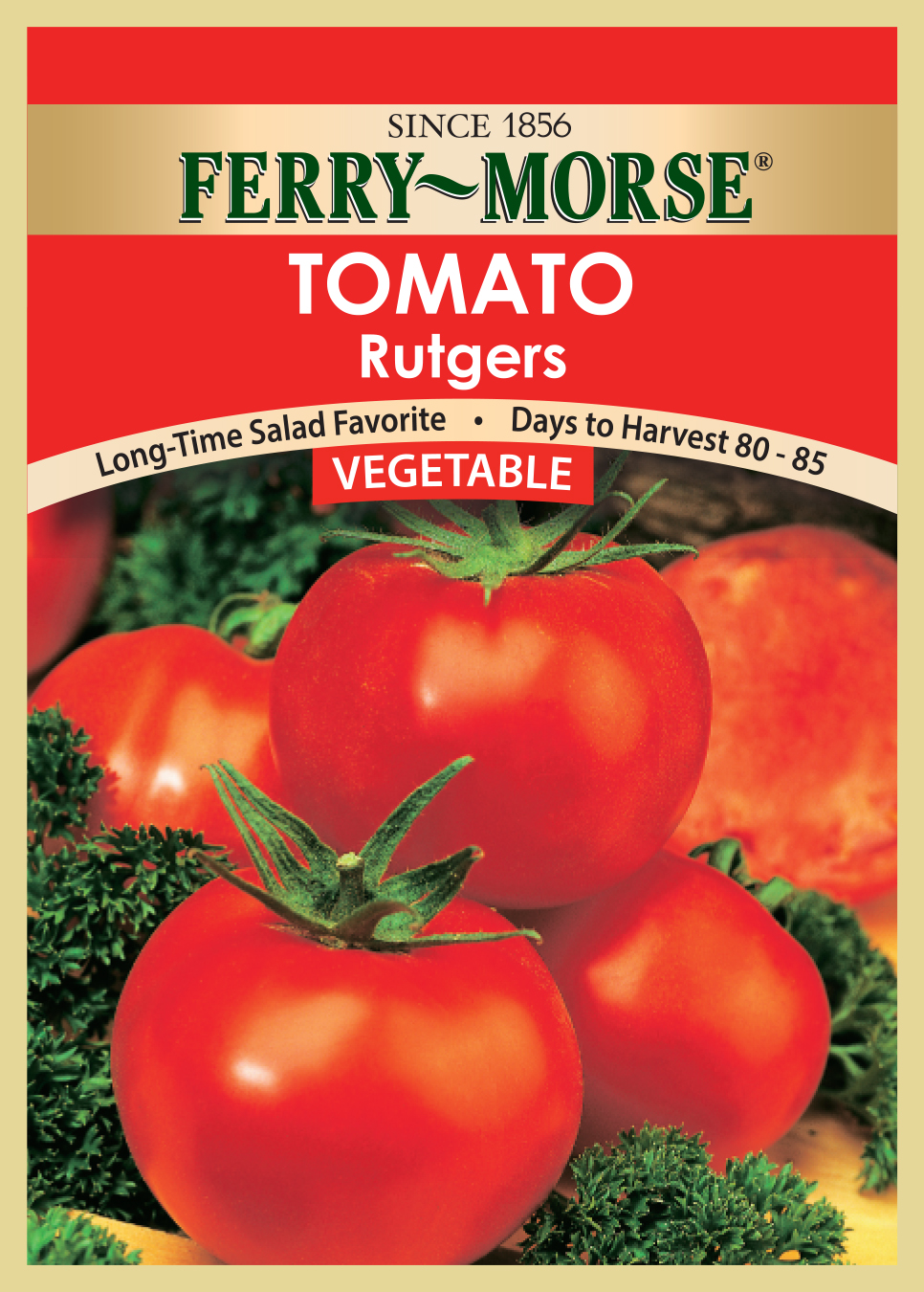 Vegetable seed TomatoRutgers