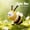 Bee Bannong 14.5cm, variant on Cute Bee Plush Toy, Funny Insect Stuffed Animal with Big Eyes, Soft Huggable Bee Pillow for Kids and Adults