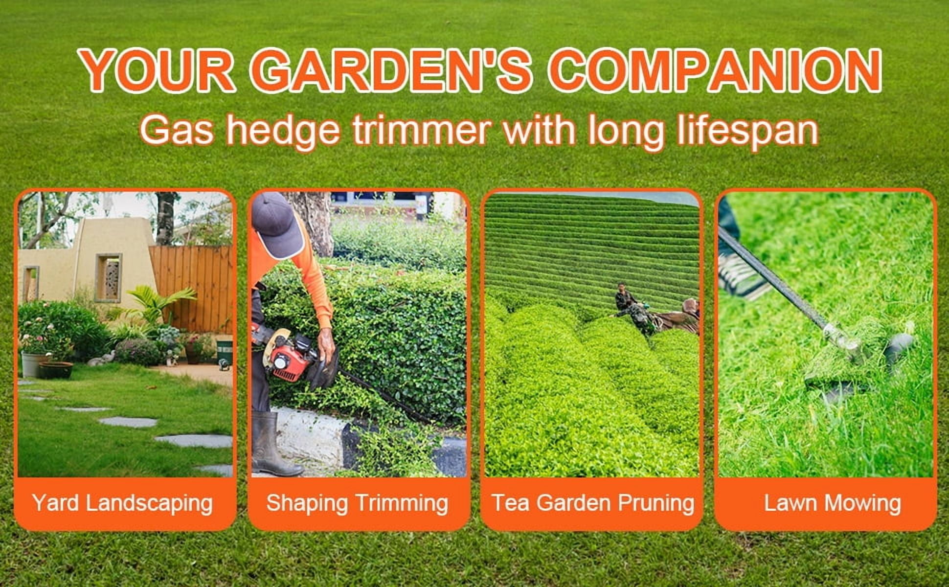 WETS 5 in 1 Multi Functional Trimming Tools, 52cc 2 Stroke Gas Hedge Trimmer, Weed Eater Gas String Trimmer, Brush Cutter, Edger, Pole Saw Chainsaw Pruner with Extension Pole, Cordless String Trimmer
