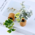 thumbnail image 2 of Plant Fridge Magnet, 14PCS Plastic Cute Refrigerator Magnet, Miniature Succulent Home Decor for Adults Kids, 2 of 10