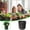 Black A, variant on Giunmcul Nonwoven Fabric Grow Bags Plant Pot with Handles Multi Size 1/3/5/7 Gallon Reusable Breathable Planter