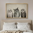 thumbnail image 3 of PixonSign Framed Canvas Print Wall Art Variety of Owl Portraits Vintage Antique Farmhouse Decor Nature Animals Modern Art Realism Cozy Decorative Colorful Multicolor - 24"x36" Natural, 3 of 5