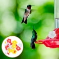 thumbnail image 4 of KAKOWELY 15 comederos creativos para pájaros con forma de flor para colibríes, para exteriores., 4 of 5