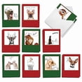thumbnail image 2 of The Best Card Company - 20 Blank Christmas Note Cards (10 Designs, 2 Each) - Bulk Holiday Notecard Set (4 x 5.12 Inch) - Holiday Dogs and Doodles AM6582XSB-B2x10, 2 of 4