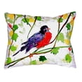 thumbnail image 1 of Betsy Drake NC164 Coussin Robin Sans Cordon 16 x 20 Po., 1 of 4