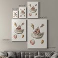thumbnail image 4 of Pastel Knorr Shells VII Premium Gallery Wrapped Canvas - Ready to Hang, 4 of 9