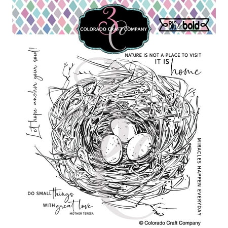 UPC: 0810043854436 | Colorado Craft Company Clear Stamps 6 X6 -Robin s Nest-Big & Bold
