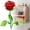 Red, variant on Vintage Rose Incense Burner, Decorative Rose Incense Holder, Red Flower Burner with Leaves for Meditation, Yoga & Spiritual Home Tabletop Decor, Kung Fu Tea Accessories, Mothers Day Mom Gifts