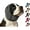 Black, variant on Dog Ear Muffs Noise Protection with Noise Cancelling Pads, Adjustable Calming Fit for Fireworks, Thunder, Grooming & Bathing
