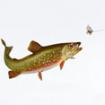 thumbnail image 2 of CafePress - Vintage Trout Fishing Illustration Body Suit - Baby Light Bodysuit, Size Newborn - 24 Months, 2 of 4