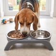 thumbnail image 6 of Elevated Stainless Steel Double Pet Bowl Large Capacity Non Slip Base Food Water Feeder for Cats Dogs, 6 of 6