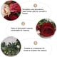 thumbnail image 4 of EXHUMKY 1Ud Para Con Artificiales Rojo Para Y Bodas, 4 of 8