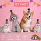 thumbnail image 3 of 3 paquetes de mini sombrero de cumpleaños para perros pequeños, sombreros de fiesta para gatos, diadema para el cuidado de cumpleaños de mascotas, accesorios estilo 5, 3 of 5