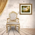 thumbnail image 3 of Kiggins, Debbie 14x12 Gold Ornate Wood Framed with Double Matting Museum Art Print Titled - Tranquil Reflections II, 3 of 4