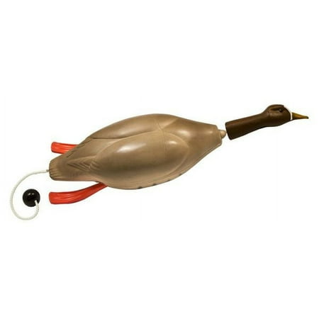 large speckbelly goose training dummy hunting dog ~ g300 ~ dokken new dead fowl trainer decoy