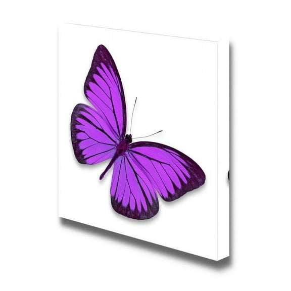 Canvas Prints Wall Art - Beautiful Flying Purple Butterfly on White Background | Modern Wall Decor/Home Decoration Stretched Gallery Canvas Wrap Giclee Print & Ready to Hang - 24" x 24"
